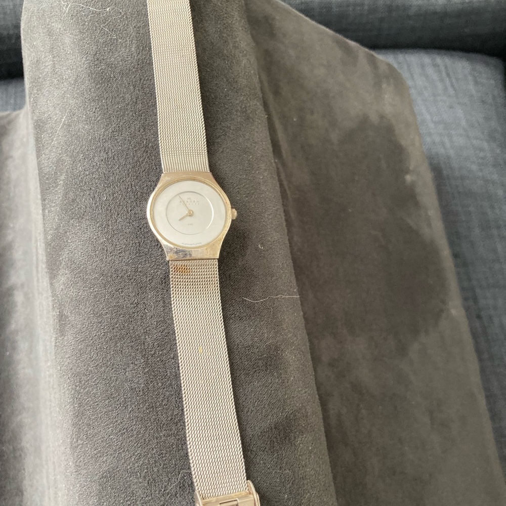 Ladies Skagen Grenen Lille-Hand Silver Stainless Steel Mesh watch